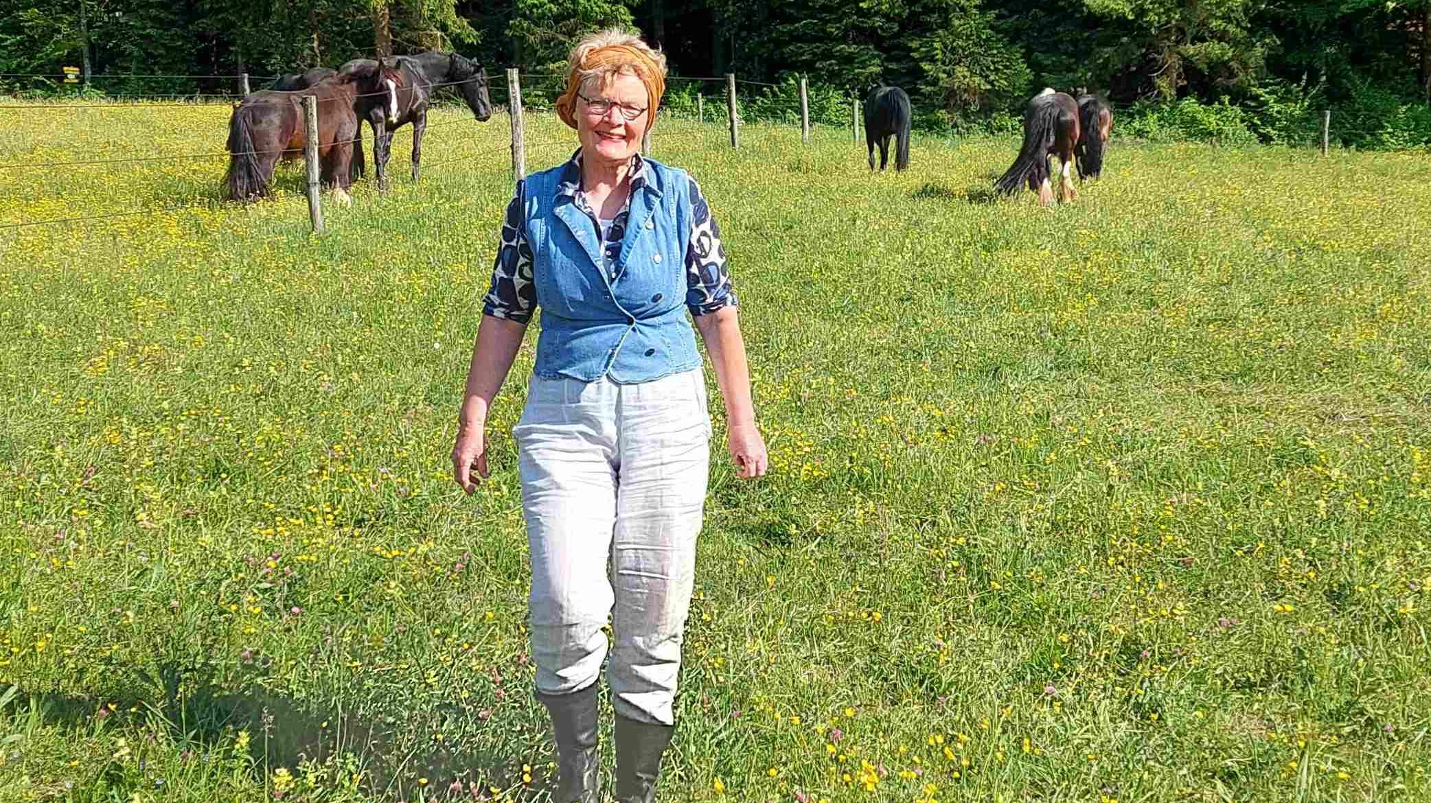 Die freie Begegnung mit dem Pferd