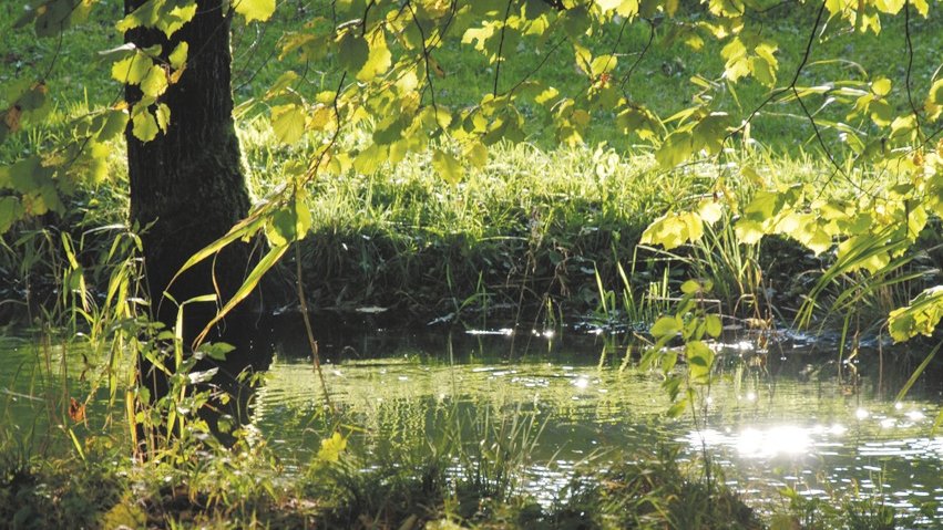 Fastenkurse